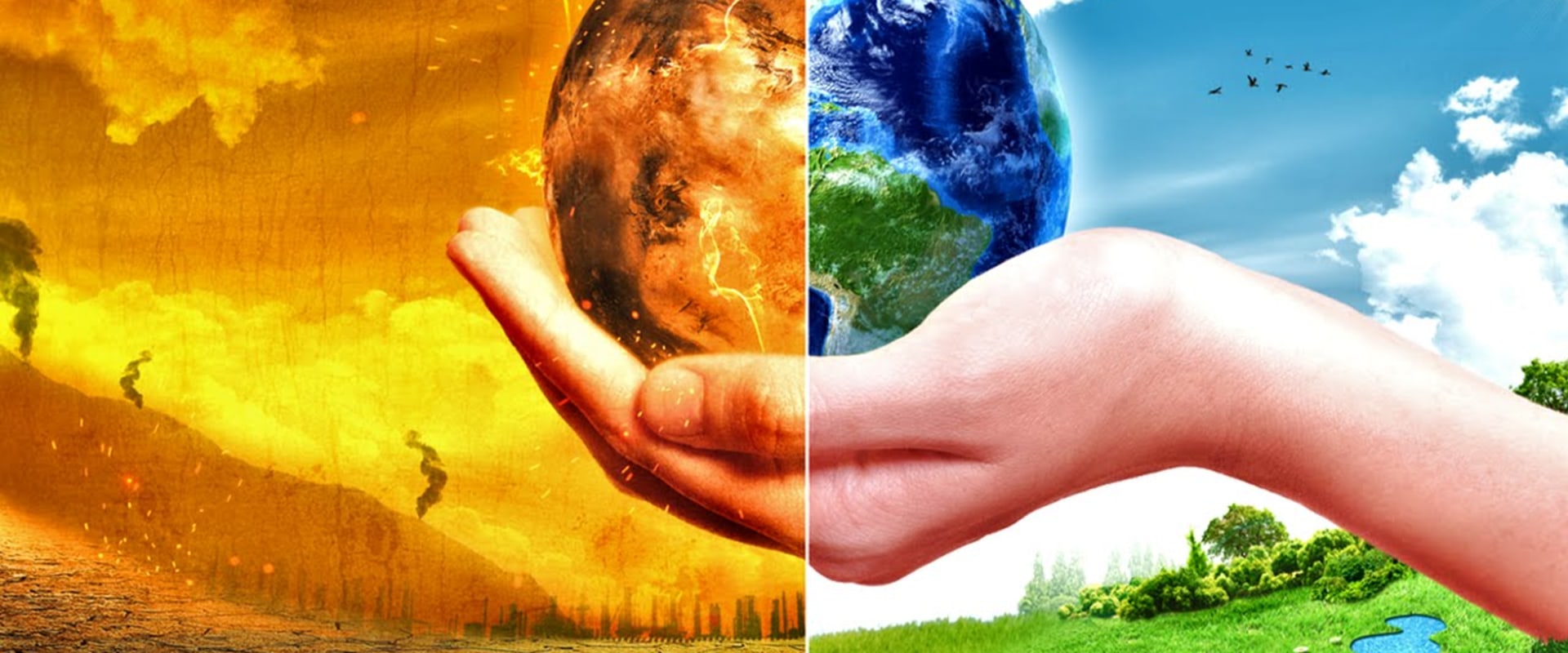 What are the top 10 environmental issues?