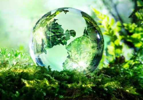 What are 3 global environmental issues?